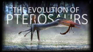 The Evolution of Pterosaurs [upl. by Analiese629]