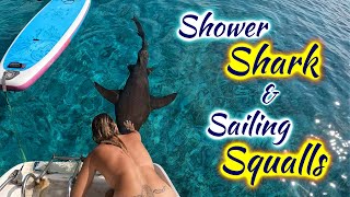 SDA110 Shower Shark amp Sailing Squalls [upl. by Yuria586]