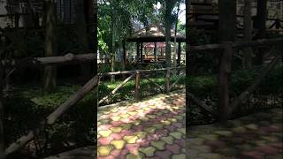 58 gate deer park  tourist spotsshortvideo [upl. by Aicinod]