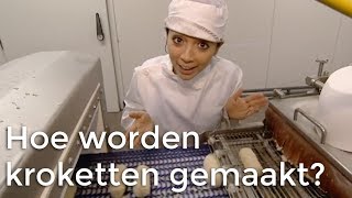 Hoe worden kroketten gemaakt  Doen Ze Dat Zo  Het Klokhuis [upl. by Ecnatsnok381]