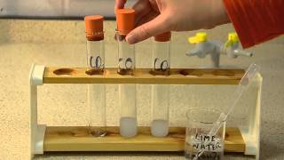 Gas Tests The Tests for Carbon Dioxide Oxygen and Hydrogen [upl. by Reitrac]