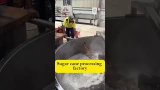 How tasty is sugar cane snacks money businessstartups factory sugar sugarcane [upl. by Kery]