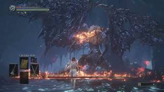 no hit NG7 sellsword twinblades build vs darkeater midir [upl. by Arten752]