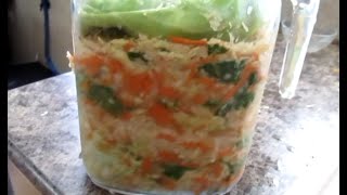 RV Living 36  Making Sauerkraut raw amp saltfree [upl. by Lhok]