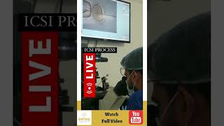 ✅Who Needs ICSI  IVF ICSI Procedure  shorts icsi ivf [upl. by Ijan]