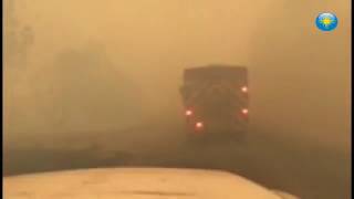 In the middle of a wildfire near North Port in Sarasota County North Port Fire Rescue video [upl. by Attey]