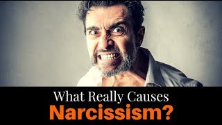 What Really Causes Narcissism [upl. by Yovonnda]