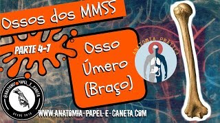 Osso Úmero  Sistema ÓsseoEsquelético  Aprenda Anatomia Desenhando Anatomia Prática [upl. by Sadirah500]