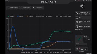 DSx2 cafe [upl. by Nylekcaj]