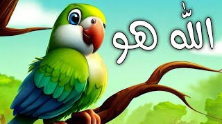 ALLAH HO ALLAH HO  Chirya Boli Choo Choo  Urdu Poems for Kids  Urdu Rhymes for Kids [upl. by Greenwood734]