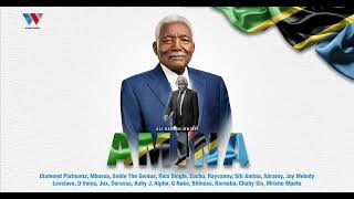 Tanzania All Stars  Amina Ali Hassan Mwinyi  Official Audio [upl. by Marcelia49]