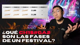 ¿Qué son las fases de un festival 🤔 [upl. by Pokorny]