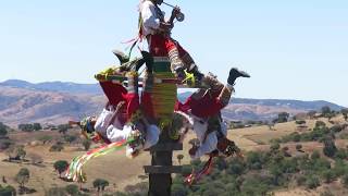 Dance of The Flyers  DANZA DE VOLADORES  Mexican Tradition [upl. by Nileak]