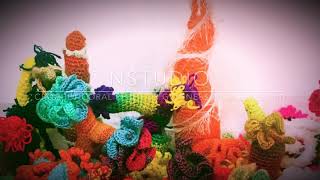 Crochet coral reef [upl. by Nunes]