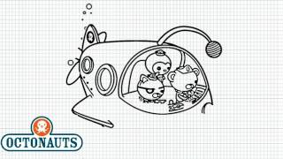 The Octonauts  How to Draw The Octonauts from the Octopod  Video [upl. by Llevad]