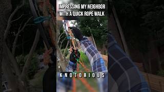 Impressing My Neighbor With A Quick Rope Walk treeclimbing arborist climbing rope ropewalk [upl. by Antonius58]