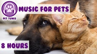 8 HOURS OF PET MUSIC Relaxing Music to Soothe and Comfort Pets and Help Calm and Reduce Anxiety 🐹 [upl. by Arhsub51]