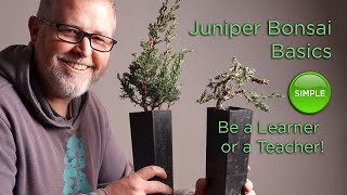 Bonsaify  Juniper Bonsai Basics Succeeding as a Student or a Teacher [upl. by Christoforo809]