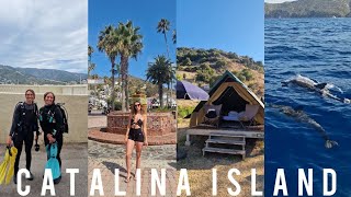 Catalina Island CA  Seeing Dolphins  Camping  Scuba Diving  Solo Travel Vlog [upl. by Adiraf]