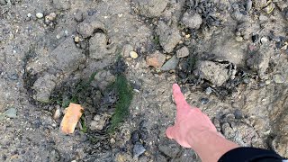 Small Treasures found on the River Thames while Mudlarking [upl. by Guido281]