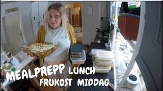 MEALPREPP En Veckas Måltider För En Person [upl. by Eilyab]