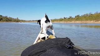 Canoeing the Burdekin River Charters Towers Weir to Maccrossan bridge [upl. by Etnahsa922]