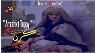 Karan Khan New Tappy  Slowed and Reverb  Pashto new slowed and reverb  Pashto song 2023 540p [upl. by Ecnaiva]