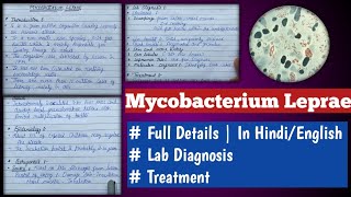 mycobacterium leprae  mycobacterium leprae microbiology [upl. by Tiga140]