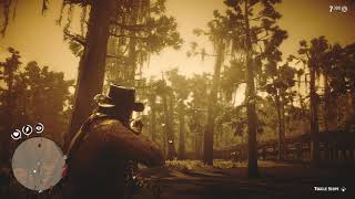 Red Dead Redemption 2 Herbalist Challenge 8 Use Oleander to craft 6 poison weapons [upl. by Kamillah]