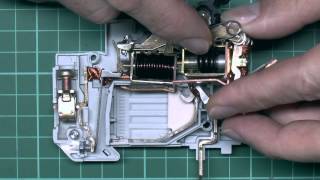 Circuit Breakers  How they Work Whats Inside [upl. by Buckley495]