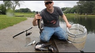 How to catch catfish with worms  fishing for catfish in a lake [upl. by Ecydnarb5]