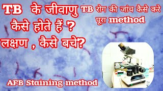 AFB staining method for TB How to stain procedure in हिंदी [upl. by Monro716]