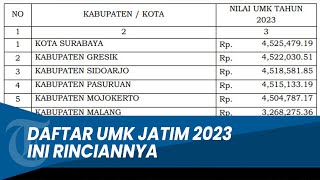 Daftar Lengkap UMK Jatim 2023 Ini Rinciannya [upl. by Annahavas]