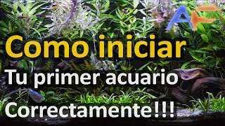 10 CONSEJOS para iniciar TU PRIMER ACUARIO con el pié derecho  Acuarismo Fácil [upl. by Ecinnahs]