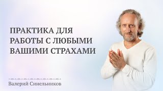 Доктор Синельников Как самостоятельно избавиться от панических атак  Практика проработки страхов [upl. by Nylirahs]