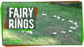 Fairy Rings [upl. by Lareine]