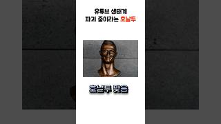 유튜브 생태계 파괴중이라는 호날두 [upl. by Wescott382]