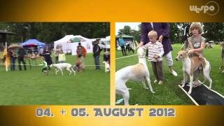 WINDHUNDE 2012 Teaser [upl. by Ientirb311]