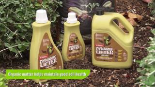 How to improve the soil and protect plants from heat and drought stress with Kim Syrus [upl. by Nyleve608]