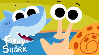 Shelly The Snail  Kids Counting Song  Finny The Shark [upl. by Darice]