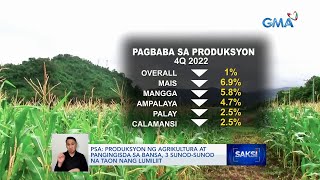 PSA Produksyon ng agrikultura at pangingisda sa bansa 3 sunodsunod na taon nang lumiliit  Saksi [upl. by Lennon]