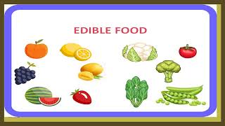 knowledge  Notable Edibles Food [upl. by Rebeh]