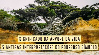 Significado da Árvore da Vida 5 antigas interpretações do poderoso símbolo [upl. by Broida]