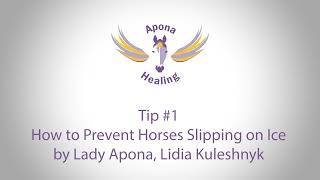 Tip 1  How to Prevent Horses Slipping on Ice [upl. by Chapin]