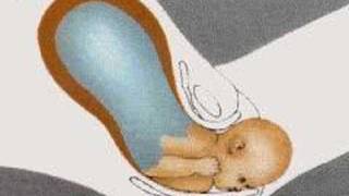 How the Body Works  Childbirth [upl. by Lionel520]