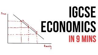 All of IGCSE Economics in 9 minutes summary [upl. by Papst]