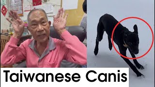 Taiwan grandpa describes Formosan Mountain Dog [upl. by Pardo652]