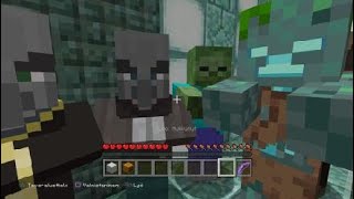 Minecraft evoker  Vindicator amp all zombies vs iron golem [upl. by Nachison261]