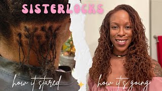 Sisterlocks Journey 10 Year Update Installation Hair Phases Retightening Routine Colour [upl. by Malet]