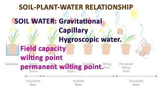 soil water  gravitational capillary hygroscopic water in soilplantwater relation [upl. by Nanam]